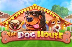 Play The Dog House